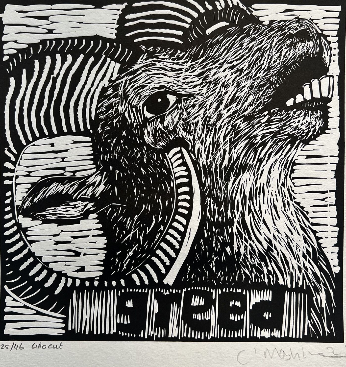 print show 15